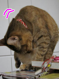 IMG02425.jpg