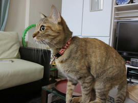 IMG02426.jpg