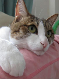 IMG02428.jpg
