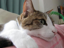 IMG02429.jpg