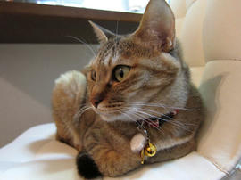 IMG02432.jpg
