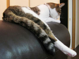 IMG02435.jpg
