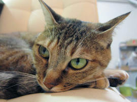 IMG02436.jpg
