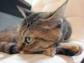 IMG02437.jpg