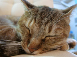 IMG02438.jpg