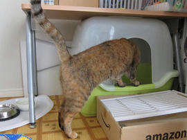 IMG02440.jpg