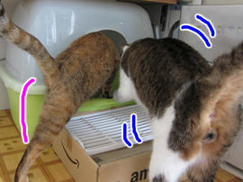 IMG02441.jpg
