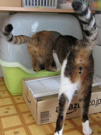 IMG02442.jpg