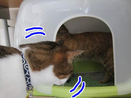 IMG02444.jpg