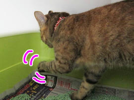 IMG02445.jpg