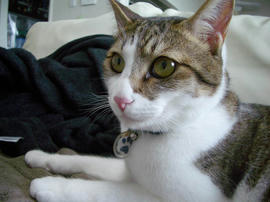 IMGP11397.jpg
