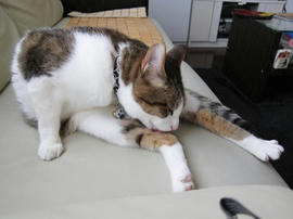 IMG02446.jpg