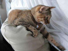 IMG02447.jpg