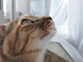 IMG02448.jpg