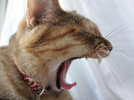 IMG02449.jpg