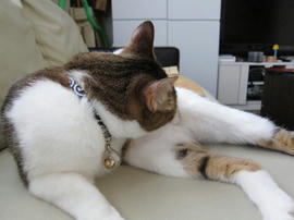 IMG02450.jpg