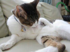 IMG02451.jpg