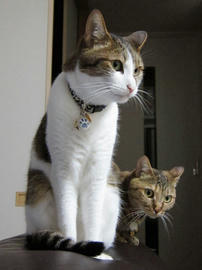 IMG02454.jpg