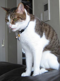 IMG02464.jpg