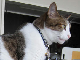 IMG02461.jpg