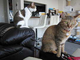 IMG02462.jpg