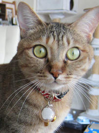 IMG02463.jpg