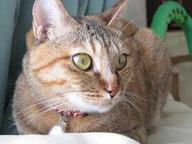 IMG02466.jpg