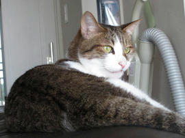 IMG02467.jpg