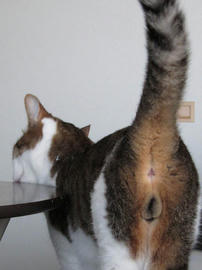 IMG02468.jpg