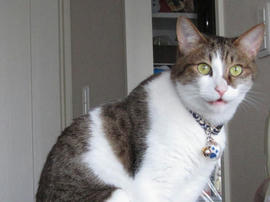 IMG02469.jpg