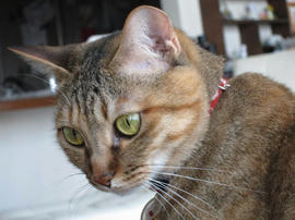 IMG02471.jpg