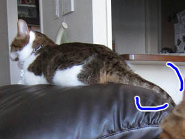 IMG02472.jpg