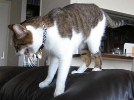 IMG02473.jpg