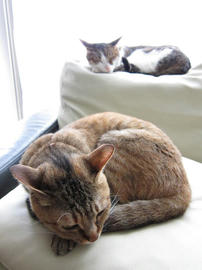 IMG02486.jpg