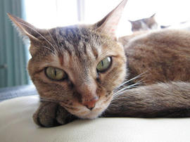 IMG02487.jpg