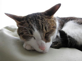 IMG02489.jpg