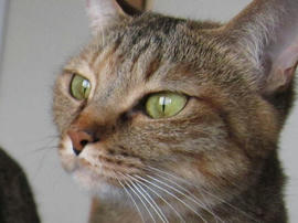 IMG02492.jpg