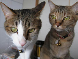 IMG02493.jpg