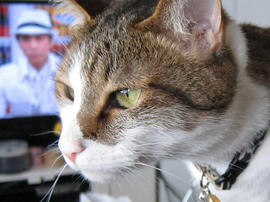 IMG02491.jpg