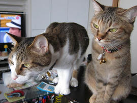 IMG02490.jpg