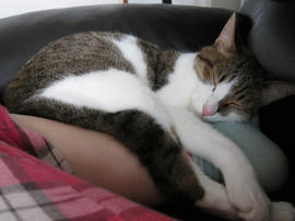 IMG02495.jpg