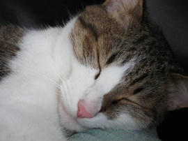 IMG02498.jpg