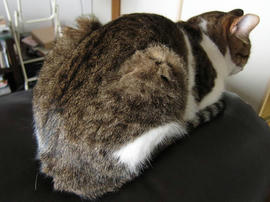 IMG02501.jpg