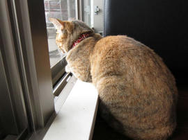 IMG02502.jpg