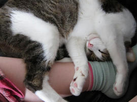 IMG02499.jpg
