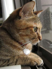 IMG02504.jpg