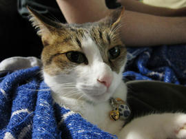 IMG02505.jpg