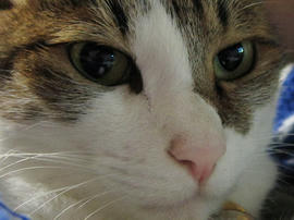 IMG02508.jpg