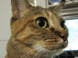 IMG02514.jpg