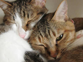 IMG02516.jpg